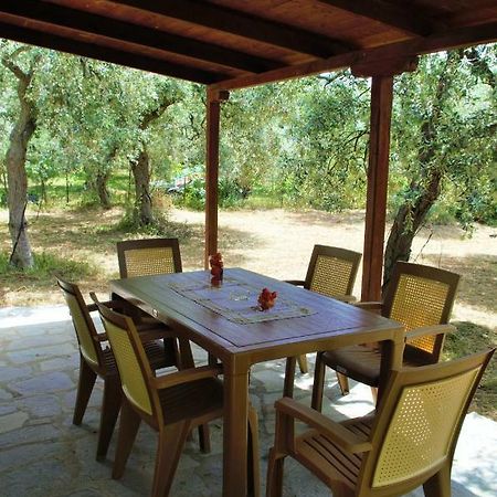 Ktima Elia Villa Skala Sotiros Dış mekan fotoğraf