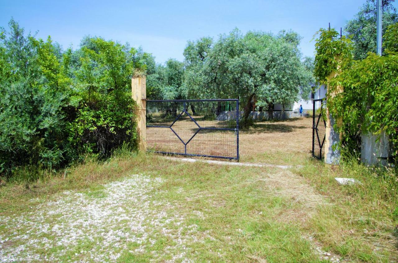 Ktima Elia Villa Skala Sotiros Dış mekan fotoğraf